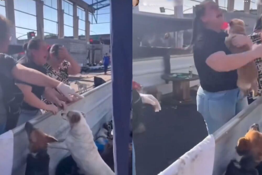 Mujer rompe en llanto al reencontrarse con su perro en inundaciones de Brasil