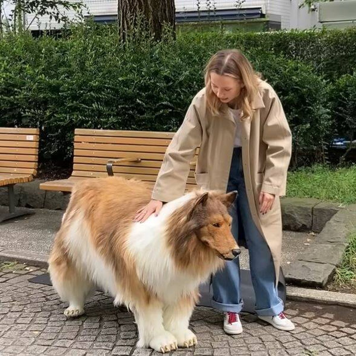 Hombre pagó millones para convertirse en perro