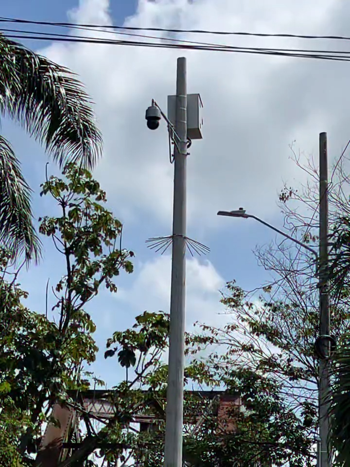 Avance en seguridad