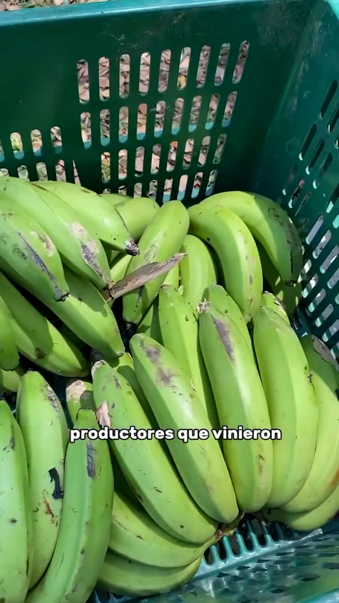 Mercado Campesino Mensual en Cartago