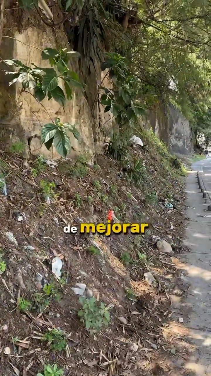 Inicia limpieza en calle 10 para obra vial