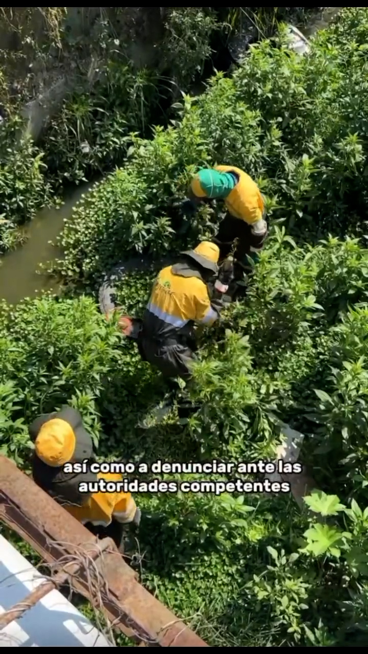 Realizan jornada de limpieza en el zanjón de la calle 14