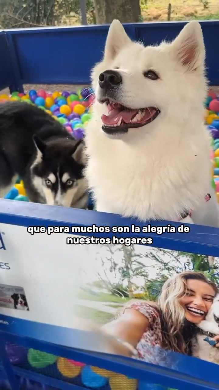 Ciclovía del Sol incluye espacio especial para mascotas