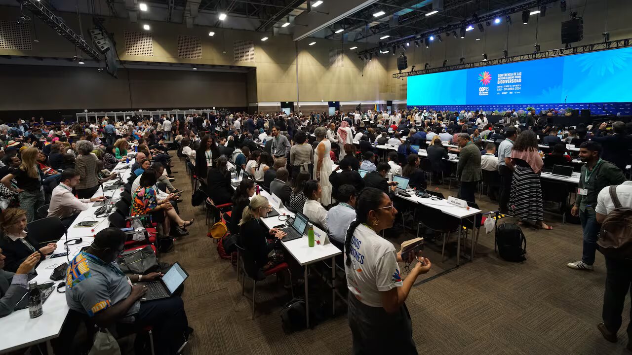 Inicia en Cali la cumbre global COP16