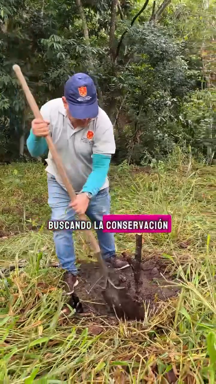 Siembra de especies arbóreas en Finca El Silencio