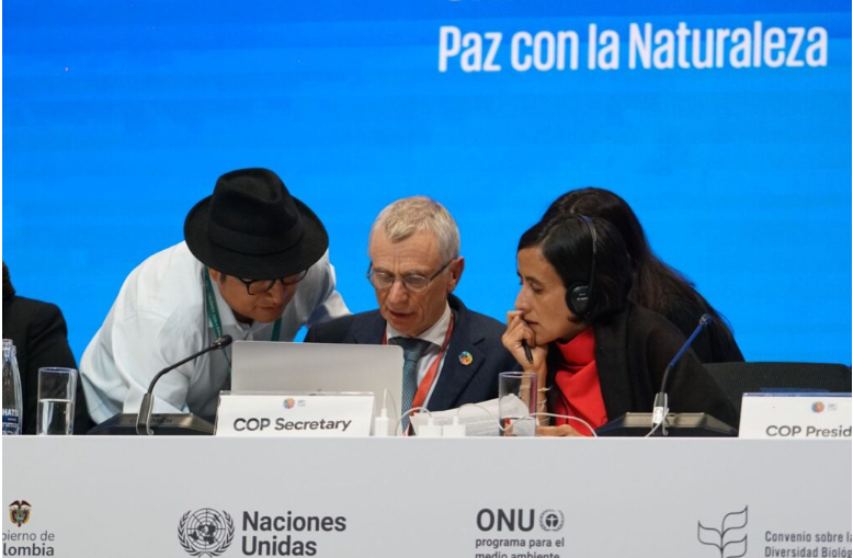 Celebración en la Zona Azul tras aprobación histórica en la COP16
