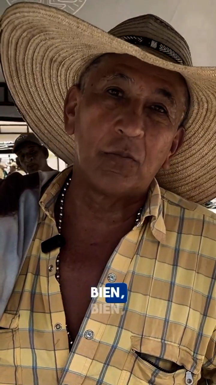 Séptimo mercado campesino