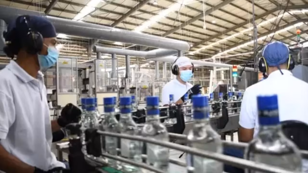 ILV cierra el 2024 con balance satisfactorio