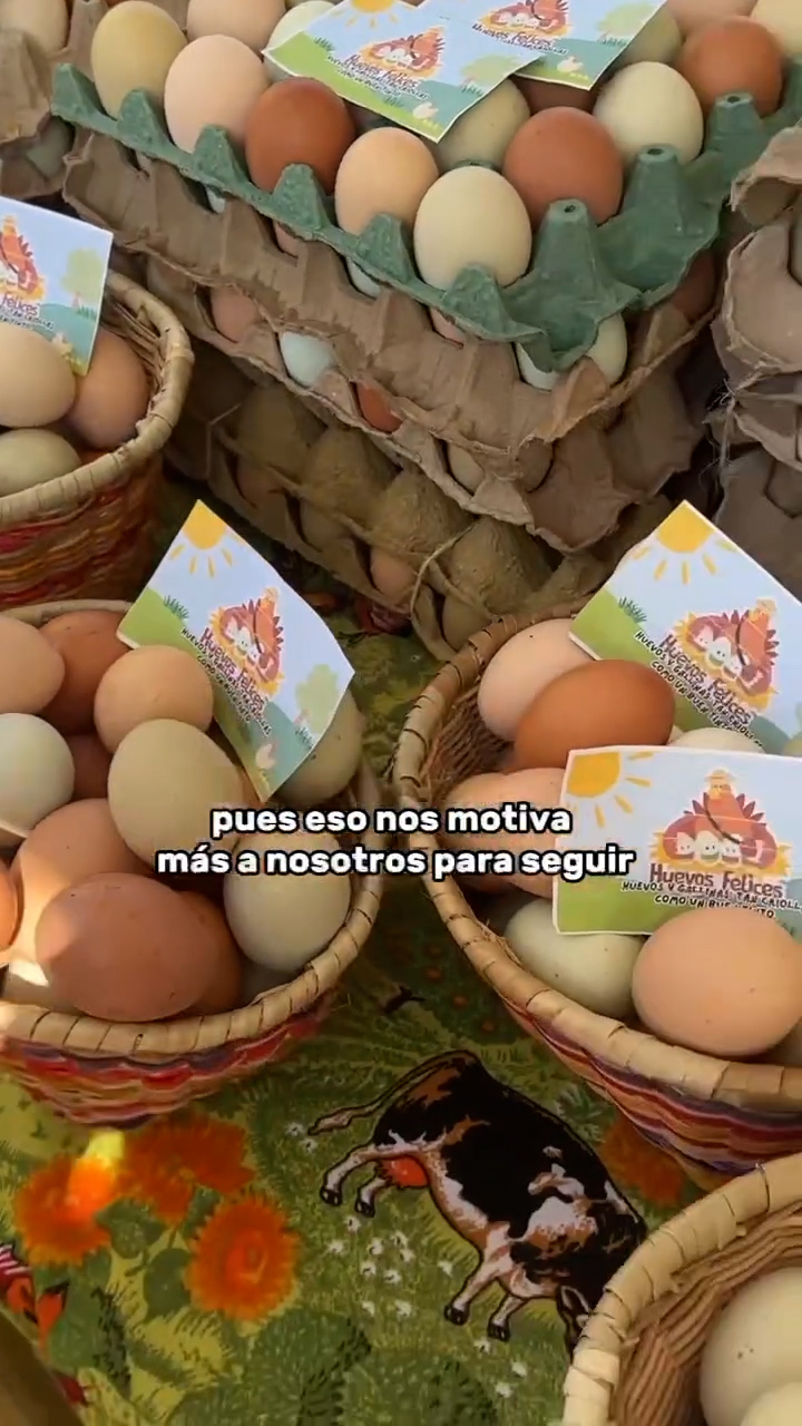 Productos Frescos y calidad en el mercado popular y campesino
