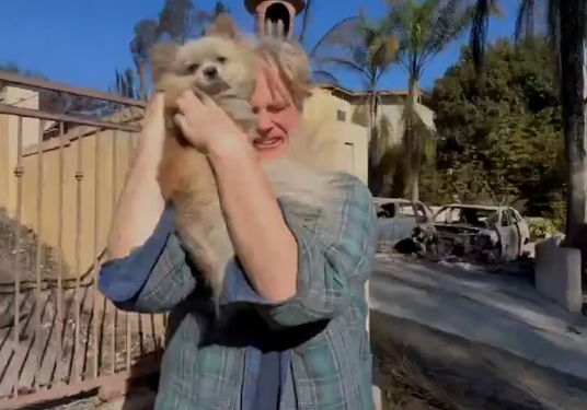 Perrito y dueño se reencuentran tras separación por incendios