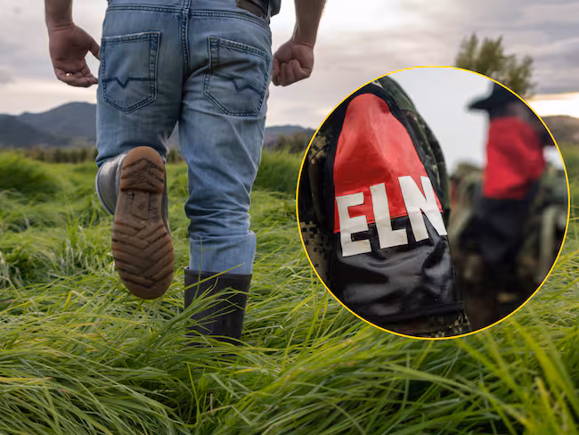 Gobierno anuncia inicio de operaciones ofensivas contra el ELN