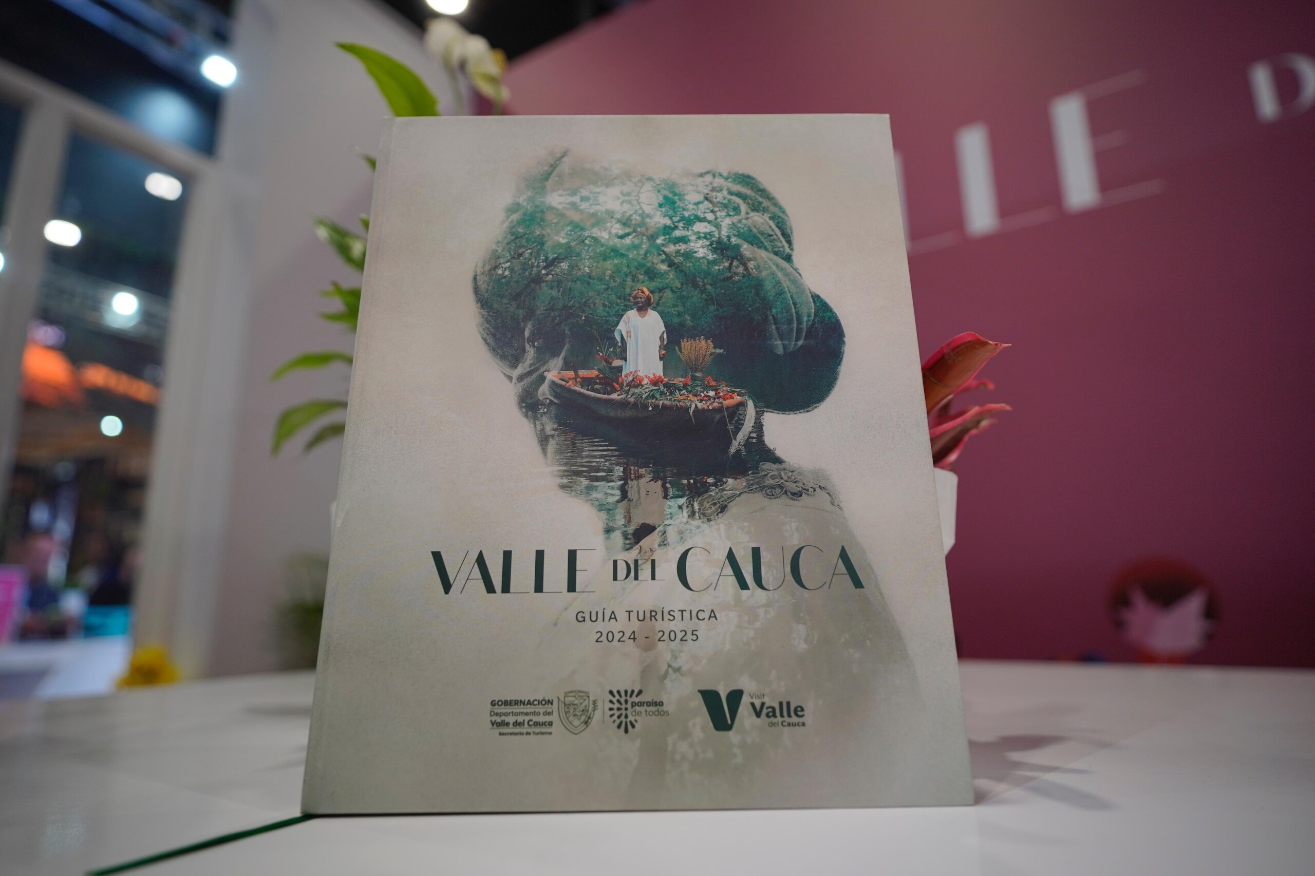 Valle del Cauca presenta guía turística y turismo en salud