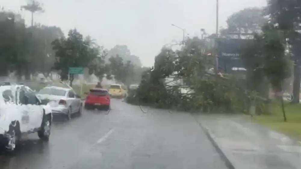 Fuertes lluvias provocan inundaciones, árboles caídos y trancones