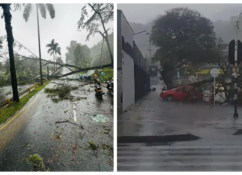 Un fuerte aguacero causa caída de árboles y emergencias
