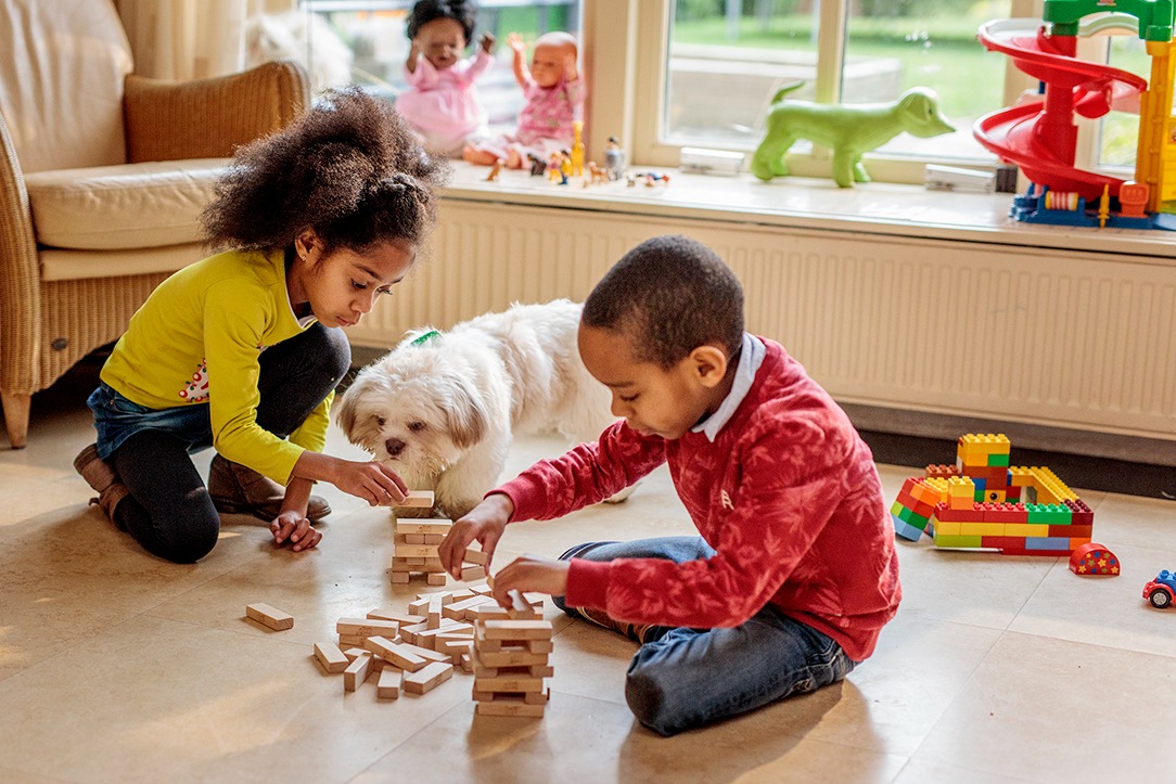 Guía para socializar a tu cachorro y evitar enfermedades