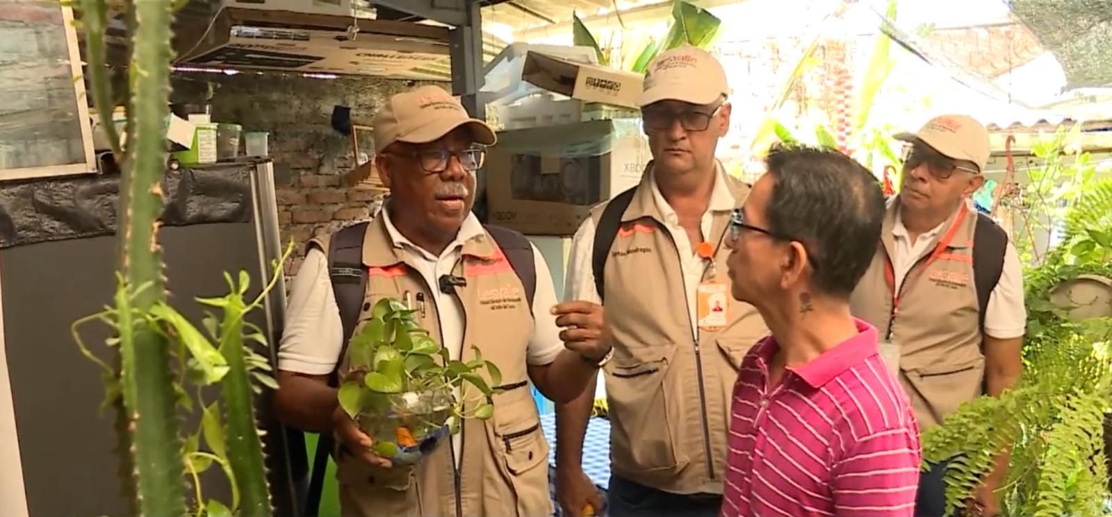 Aumentan casos de dengue en el Valle