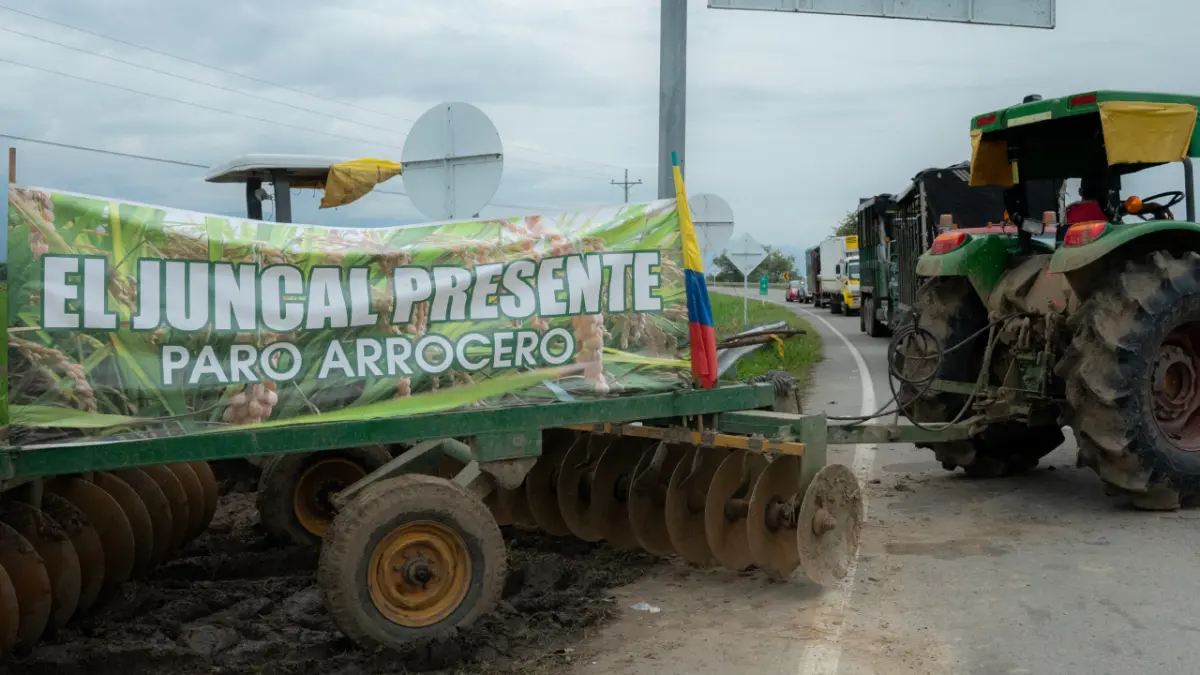 Paro arrocero: Gobierno ofrece millonaria inversión