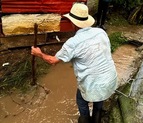 Lluvias en Pereira causan inundaciones y daños en viviendas