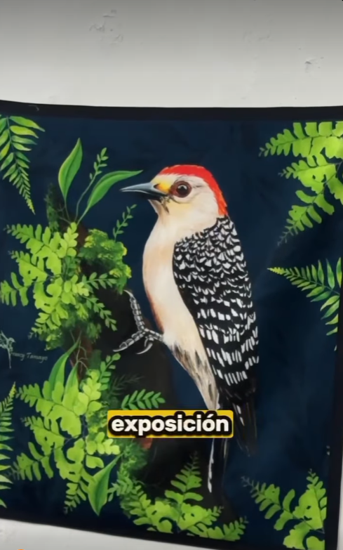 Exposición de aves en Casa del Virrey