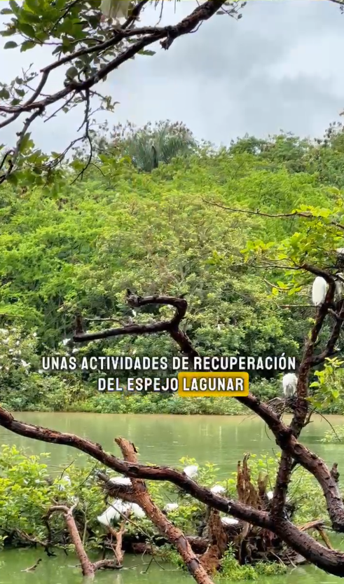 Voluntarios transforman un parque natural con jornada de limpieza