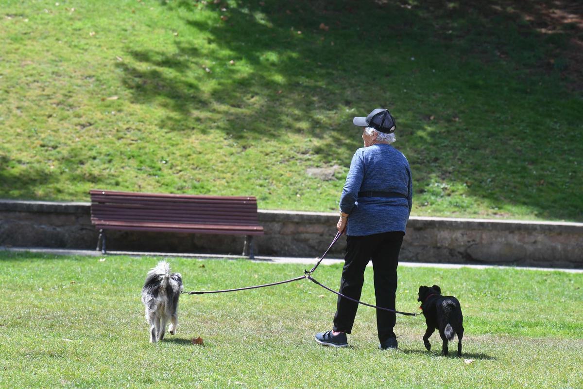 Aumentan extorsiones por mascotas perdidas en Pereira