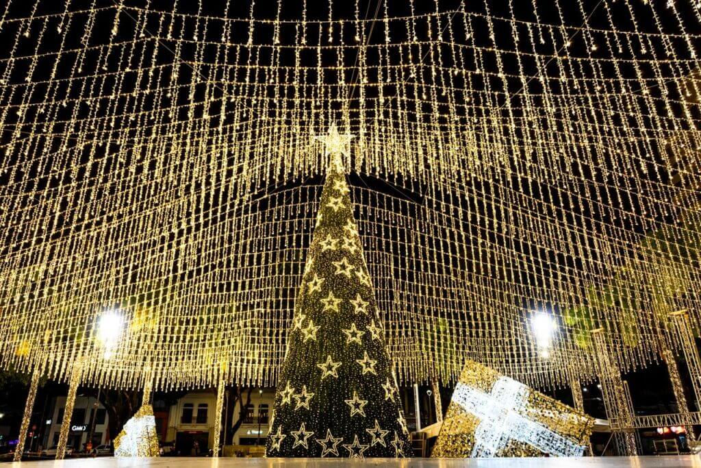 Pereira enciende la emoción del espíritu navideño