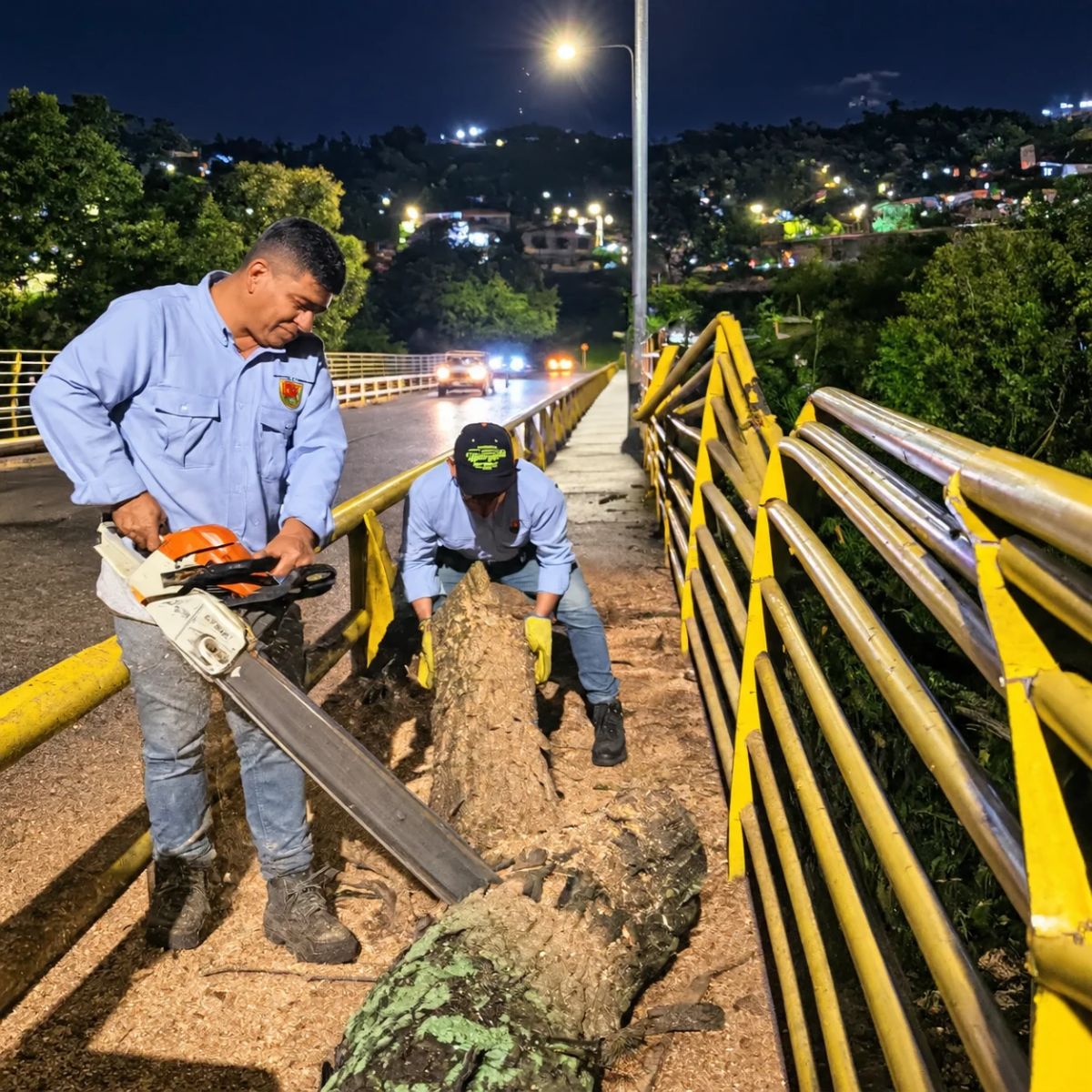 Pereira enfrentó una noche de emergencias por las fuertes lluvias