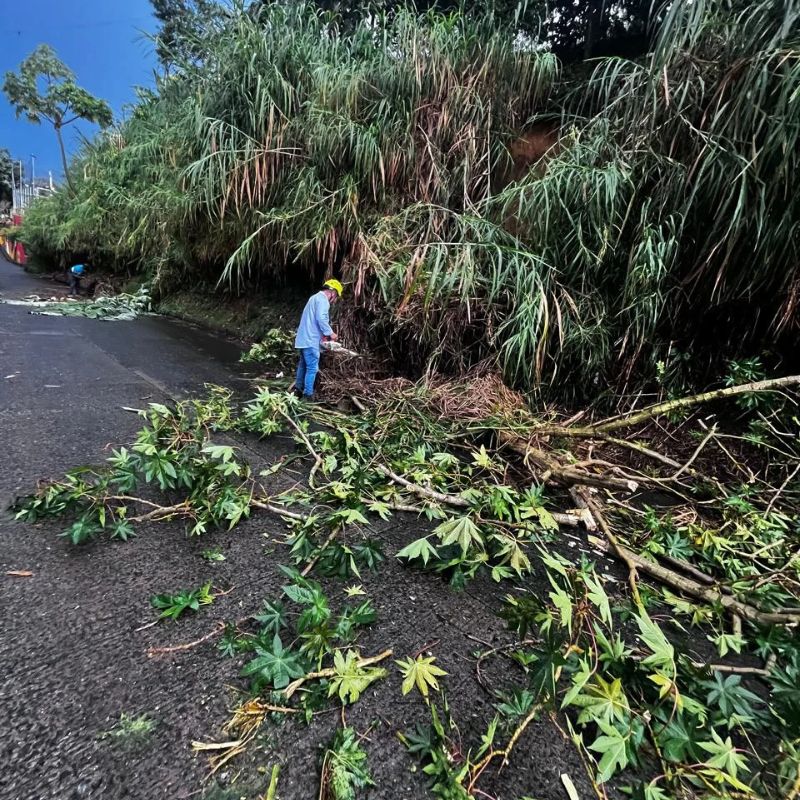 Operarios realizan trabajos de despeje en sectores de Pereira afectados por las fuertes lluvias.