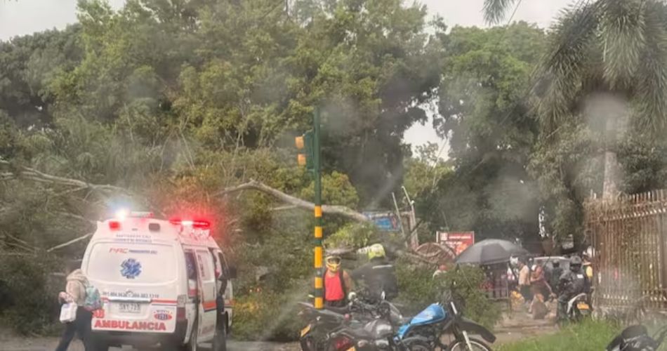 alternativo (ALT): Intensas lluvias derribaron árboles en Cali; un tronco bloquea la vía frente a un camión de carga y varias personas.