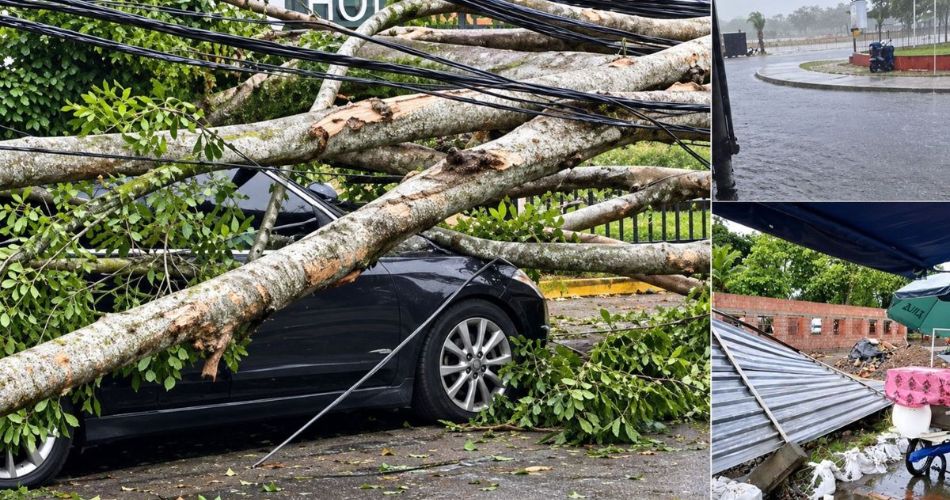 Intensas lluvias derribaron árboles en Cali; un tronco de gran tamaño bloquea una vía frente a un camión de carga.