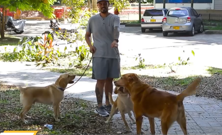 Política Publica Bienestar animal