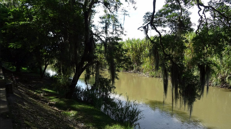 Parque de la Isleta