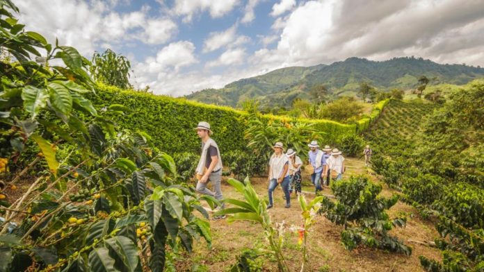 Reconocimiento Cotelco Risaralda