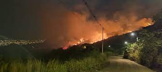 Incendio en Quindio dejó cinco hectáreas afectadas