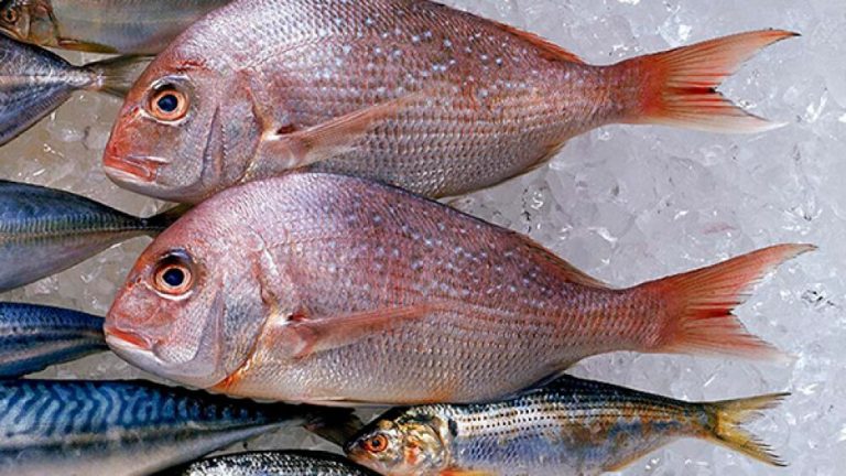 ¿Cuál es el pescado más barato para comer en Semana Santa?