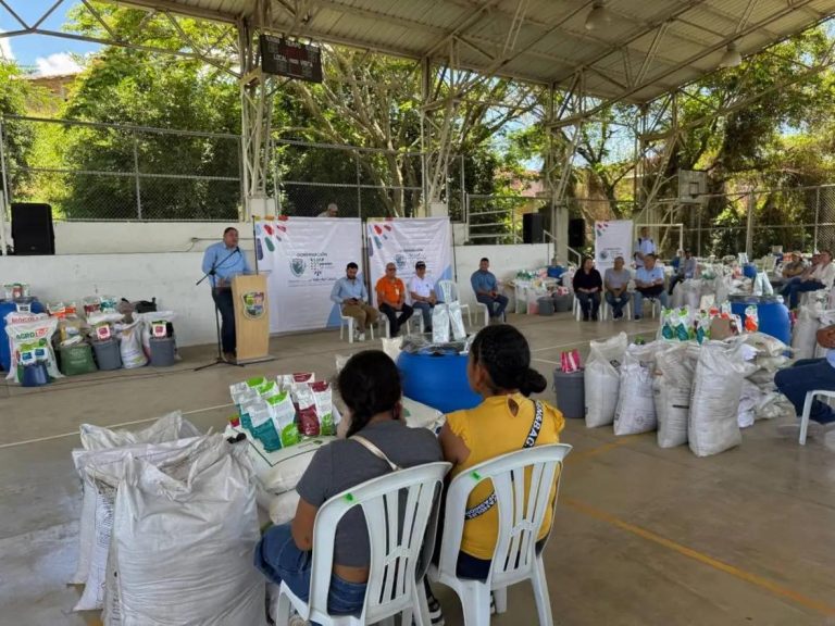 Valle Agro fortalece cultivos de hortalizas, tubérculos y frutales