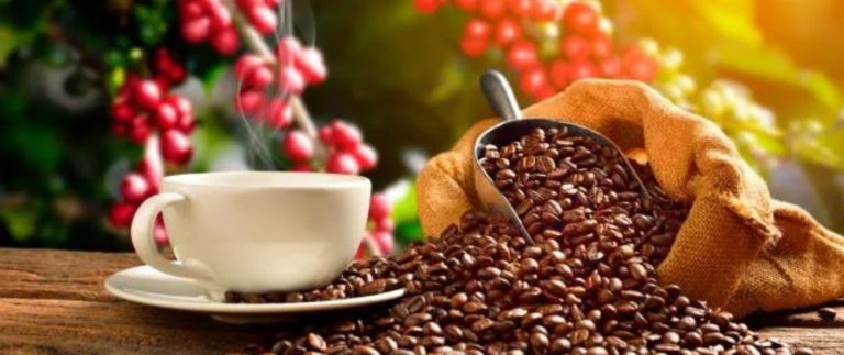 Café especial de Risaralda brilla en feria top de América