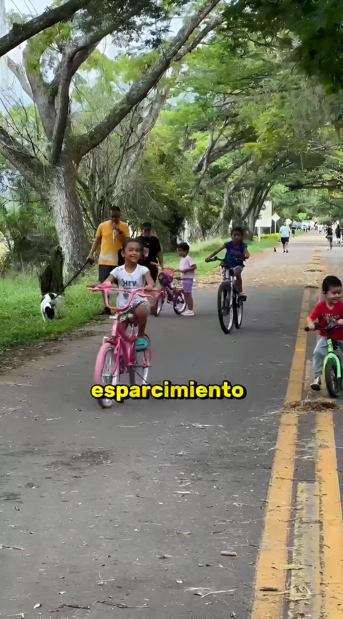 ersonas de todas las edades participan en una ciclovía dominical llena de deporte, seguridad y actividades recreativas.