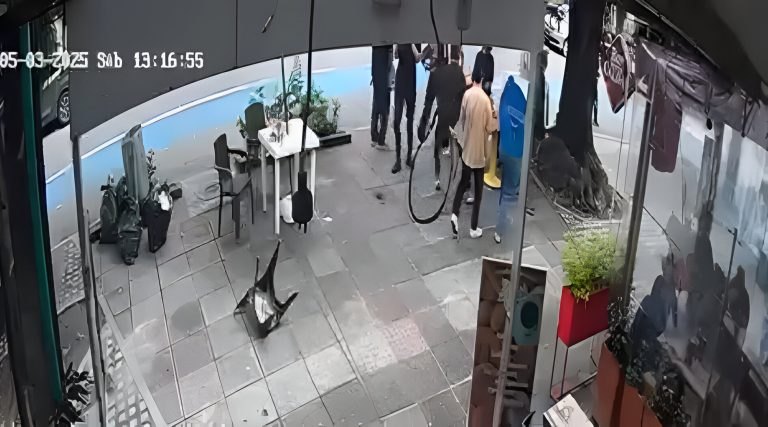 Robo durante el Burger Máster en el Eje Cafetero