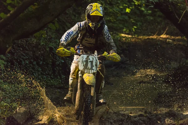 La CARDER detuvo un evento de motocross ilegal que causó graves daños ecológicos en la vereda Agualinda, Apía, dentro de una zona protegida