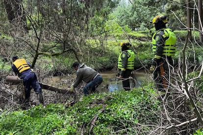 Revelan quién encontró a Valeria Afanador en Cajicá