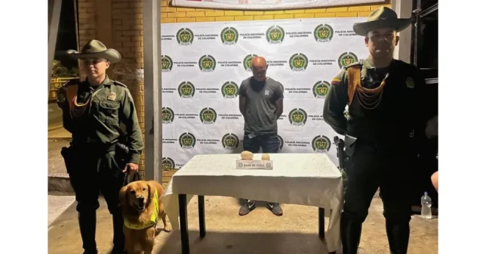 Un olfato canino detecta droga en bus de Armenia.