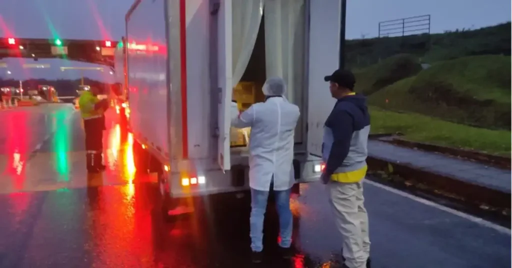 Funcionarios de salud revisan un caso de pollo transportado sin control sanitario durante un operativo en la Autopista del Café.
