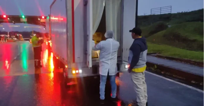 Pollo transportado sin control sanitario es inspeccionado por las autoridades en la Autopista del Café.