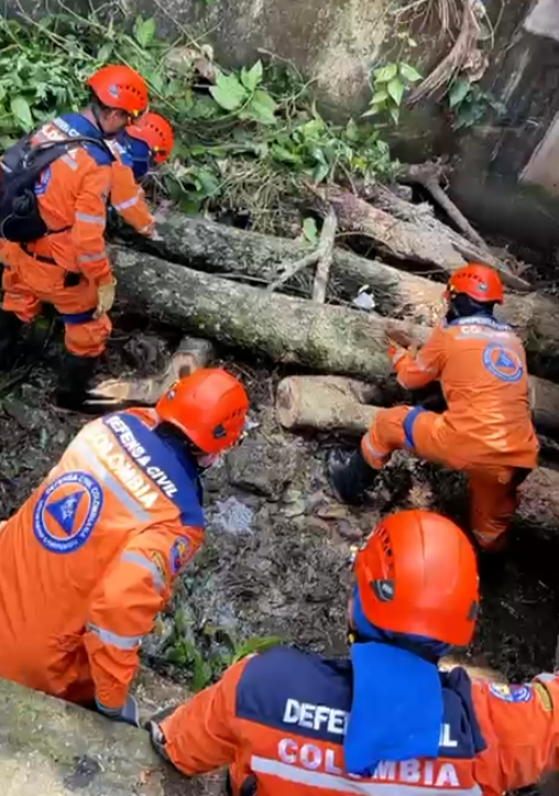 Limpieza de caño Villa del Sol previene inundaciones urbanas en Cartago