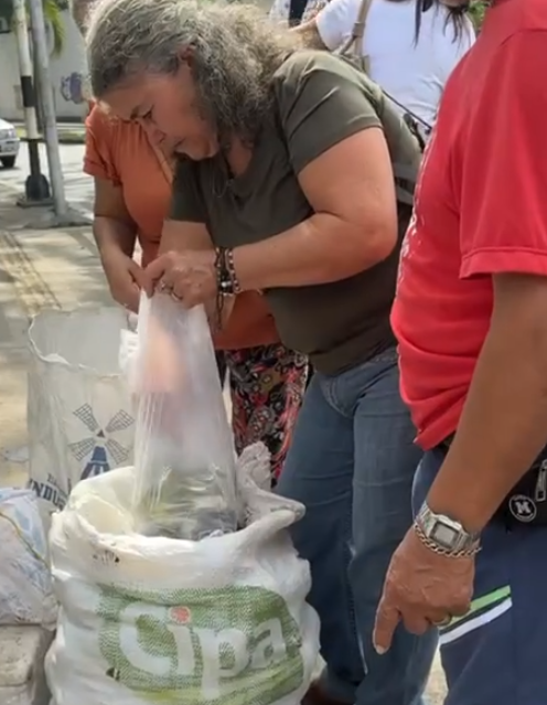 Productores locales participan en el Mercado campesino de Cartago Valle
