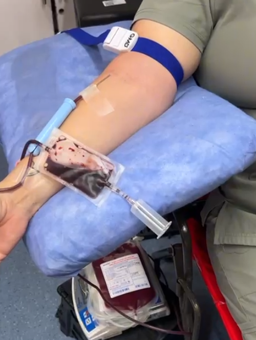 Participación ciudadana en la Jornada de Donación de Sangre realizada en el Coliseo de La Isleta en Cartago.