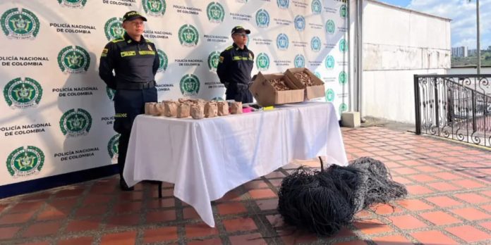 Policía incauta pólvora en operativo institucional de diciembre en Colombia.