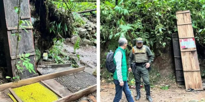 Operativo oficial frena minería ilegal en zona forestal de Risaralda