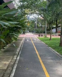 Alcaldía convoca predios para siembra de árboles en Cartago
